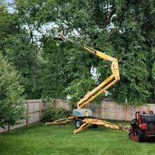 Best Tree and Shrub Care  in Southmayd, TX