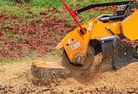 Best Tree Removal  in Southmayd, TX
