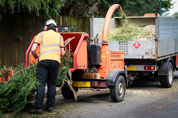 Best Lawn Irrigation Installation and Maintenance  in Southmayd, TX